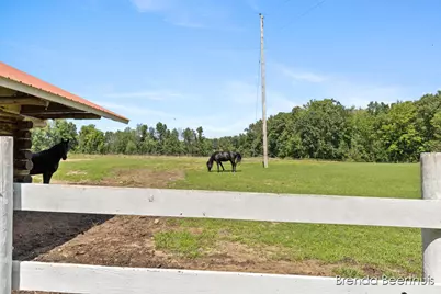 11301 108th Street SE, Freeport, MI 49325 - Photo 93