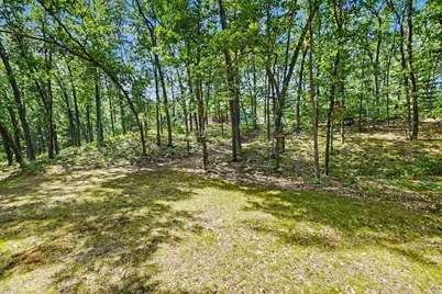 11023 S Roby Lake Drive, Baldwin, MI 49304 - Photo 45