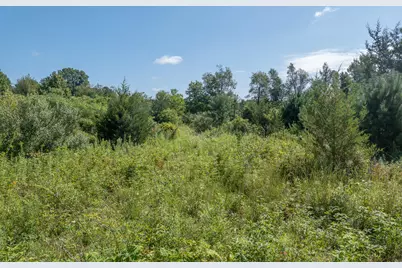 7340 Culbert Road, Osseo, MI 49266 - Photo 11