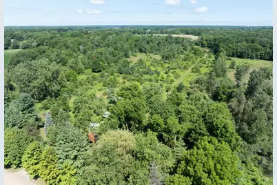 7340 Culbert Road, Osseo, MI 49266 - Photo 3