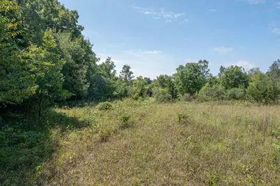 7340 Culbert Road, Osseo, MI 49266 - Photo 21