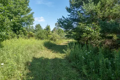 7340 Culbert Road, Osseo, MI 49266 - Photo 9