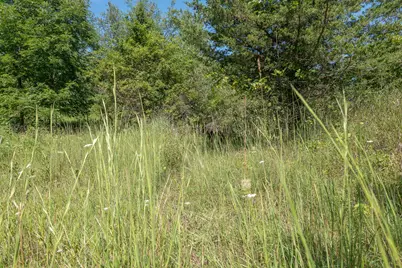7340 Culbert Road, Osseo, MI 49266 - Photo 23