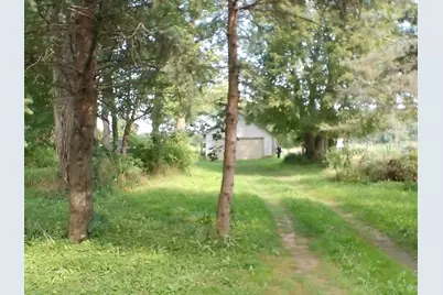 Musbach Road, Munith, MI 49259 - Photo 1