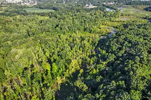 3418 M-37, Middleville, MI 49333 - Photo 31