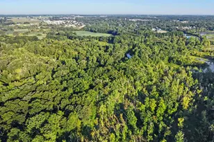 3418 M-37, Middleville, MI 49333 - Photo 17