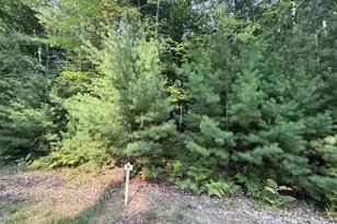 6842 White Pine Dr, Stanwood, MI 49346 - Photo 1