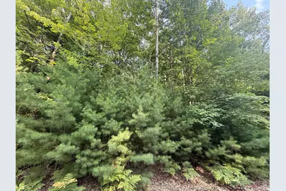 6842 White Pine Drive, Stanwood, MI 49346 - Photo 7