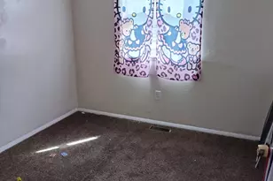 6701 Dana Ln, Flint, MI 48504 - Photo 7