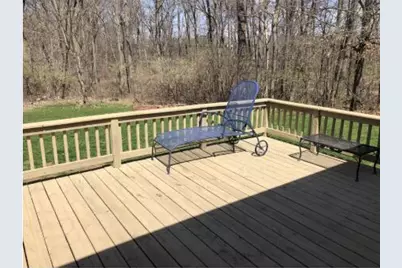 954 Rose Drive, Ann Arbor, MI 48103 - Photo 35