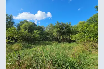490 Tiffany Street, Brooklyn, MI 49230 - Photo 29