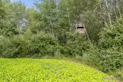 V/L W 112th Street, Twin Lake, MI 49457 - Photo 15