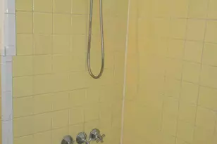 12618 W Outer Dr W, Detroit, MI 48223 - Photo 33