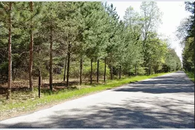9101 Forest Pines Drive, Mecosta, MI 49332 - Photo 3