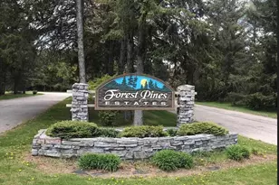 9101 Forest Pines Drive, Mecosta, MI 49332 - Photo 1