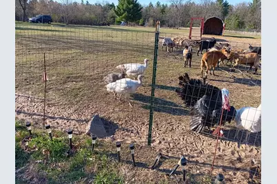 1889 E 40th Street, White Cloud, MI 49349 - Photo 27