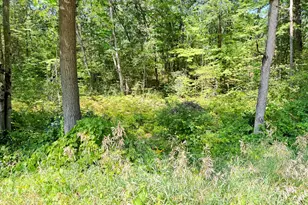 8835 N Bingham Ave, Bitely, MI 49309 - Photo 1