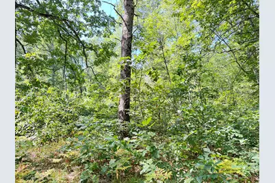 2227 W Oakwood Boulevard, Bitely, MI 49309 - Photo 3