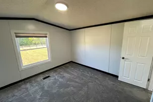 91 70th Ave, Lakeview, MI 48850 - Photo 11