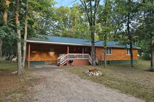 11933 S Wedgewood Ave, Baldwin, MI 49304 - Photo 1