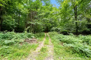 4725 Orshal Rd, Whitehall, MI 49461 - Photo 29