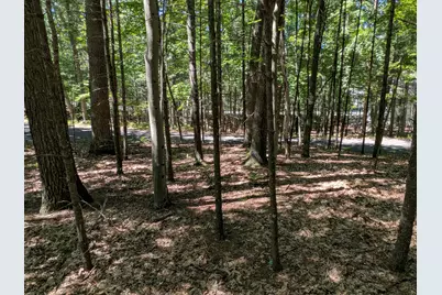 Ottawa Lane #Lot 50, Pentwater, MI 49449 - Photo 3