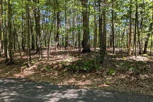 Ottawa Ln, Pentwater, MI 49449 - Photo 1