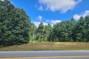 0 Howard City Edmore Rd, Howard City, MI 49329 - Photo 1