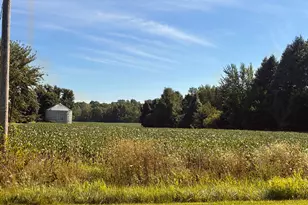 W County Road 365, Lawrence, MI 49064 - Photo 1