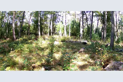 V/L E 8th Street, White Cloud, MI 49349 - Photo 21