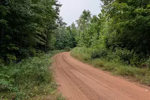 Vl Perrin Brothers Trail, Gwinn, MI 49841 - Photo 25