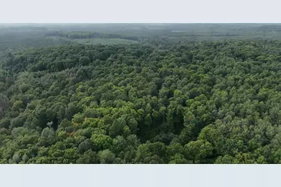 Vl Perrin Brothers Trail, Gwinn, MI 49841 - Photo 11