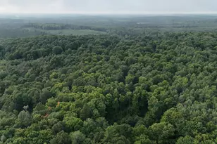 Vl Perrin Brothers Trail, Gwinn, MI 49841 - Photo 11