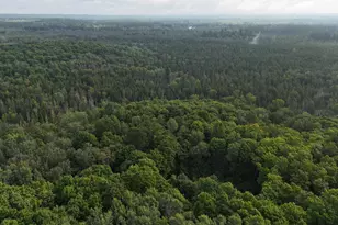 Vl Perrin Brothers Trail, Gwinn, MI 49841 - Photo 13