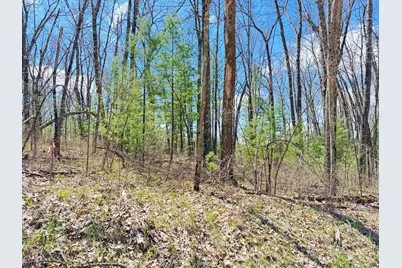 0 W Franklin Street, Bitely, MI 49309 - Photo 7