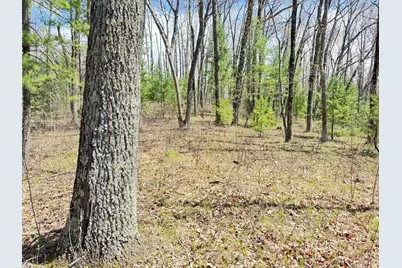 0 W Franklin Street, Bitely, MI 49309 - Photo 5