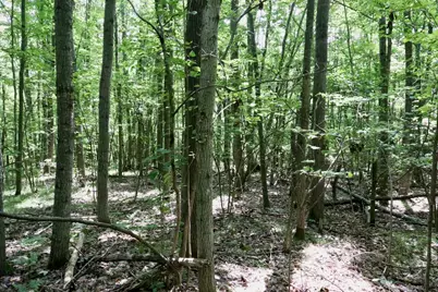 00 7 Mile Road, Evart, MI 49631 - Photo 13