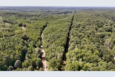 00 7 Mile Road, Evart, MI 49631 - Photo 3
