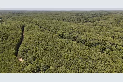 00 7 Mile Road, Evart, MI 49631 - Photo 7
