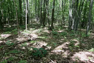 00 7 Mile Road, Evart, MI 49631 - Photo 21