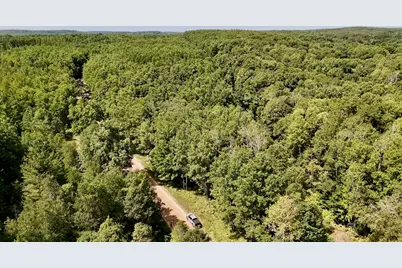 00 7 Mile Road, Evart, MI 49631 - Photo 9