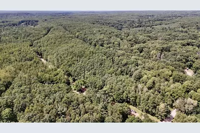 00 7 Mile Road, Evart, MI 49631 - Photo 1