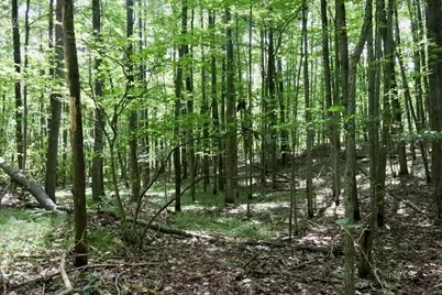00 7 Mile Road, Evart, MI 49631 - Photo 15