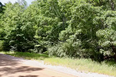 00 7 Mile Road, Evart, MI 49631 - Photo 25