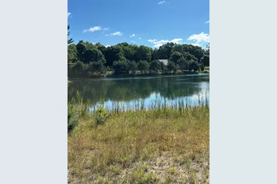 6609 Donegal Court, Canadian Lakes, MI 49346 - Photo 3
