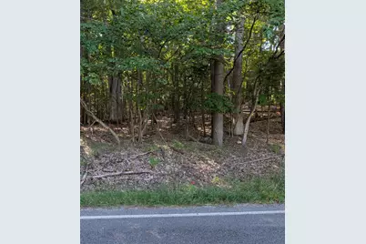 W Shawnee Road #Lot 121, Pentwater, MI 49449 - Photo 3