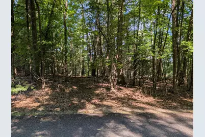 W Shawnee Road #Lot 121, Pentwater, MI 49449 - Photo 1