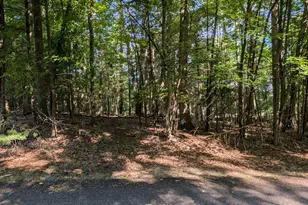 W Shawnee Rd, Pentwater, MI 49449 - Photo 1