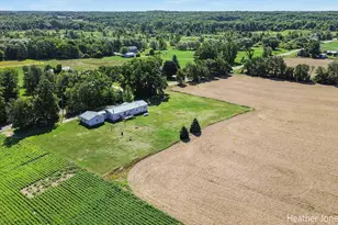 3349 N Pine Grove Rd, Edmore, MI 48829 - Photo 27