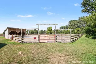 8872 E Spencer Rd, Crystal, MI 48818 - Photo 33